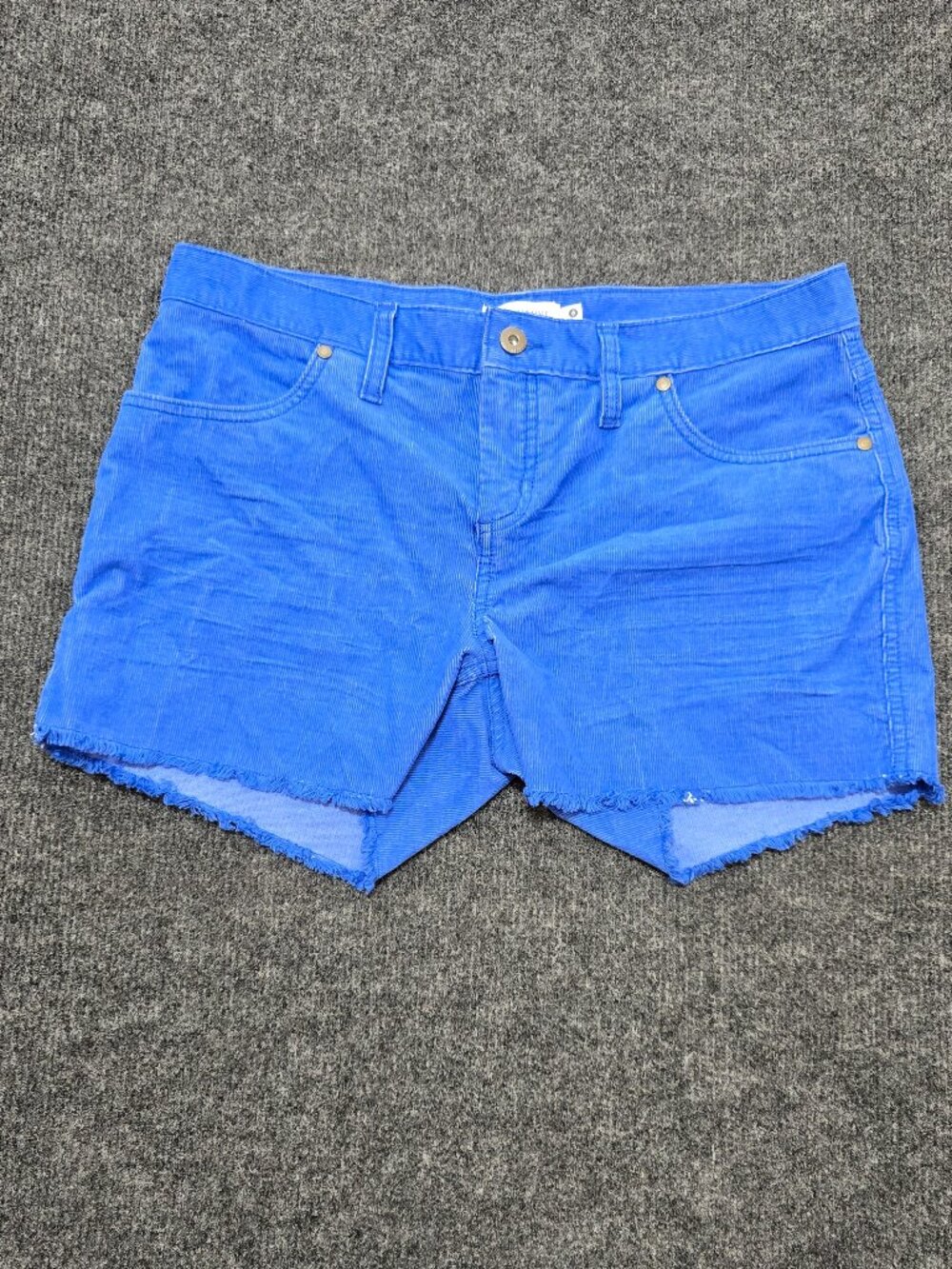 Carve Designs Women’s Blue Corduroy Cutoff Shorts Size 6 Frayed Hem Stretch Casu